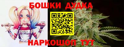 индика Гусиноозёрск